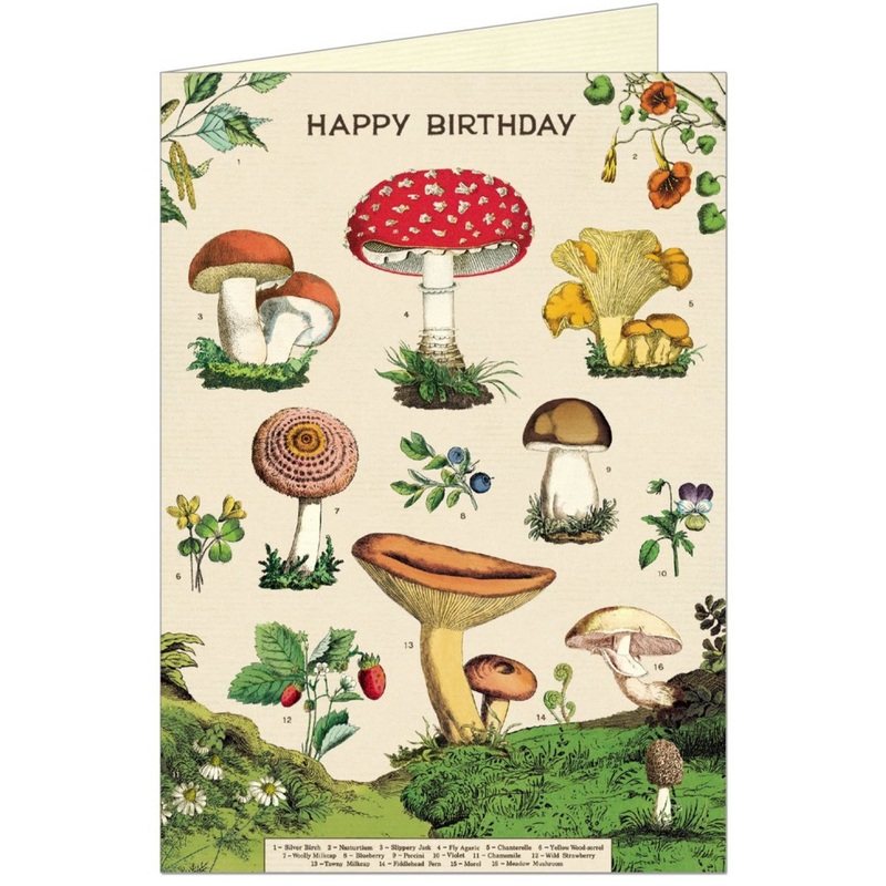 Happy Birthday Mushrooms Single Greeting Card/Envelope
