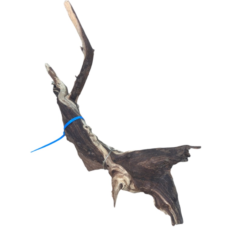Mopani Wood- Medium