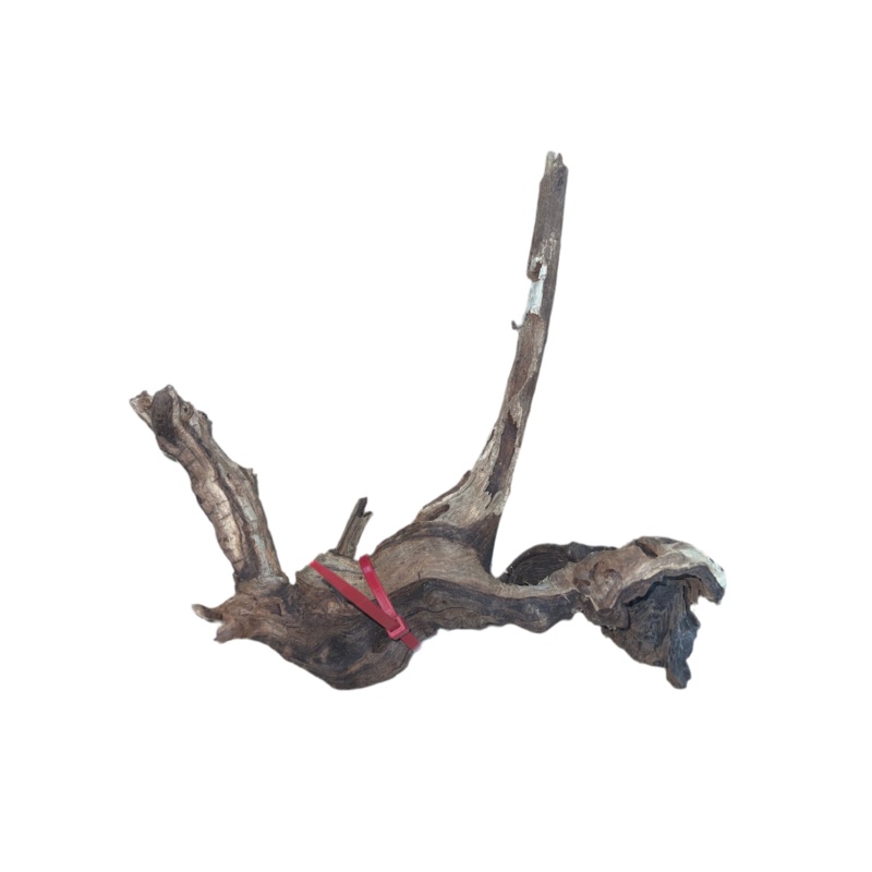 Mopani Wood- Small
