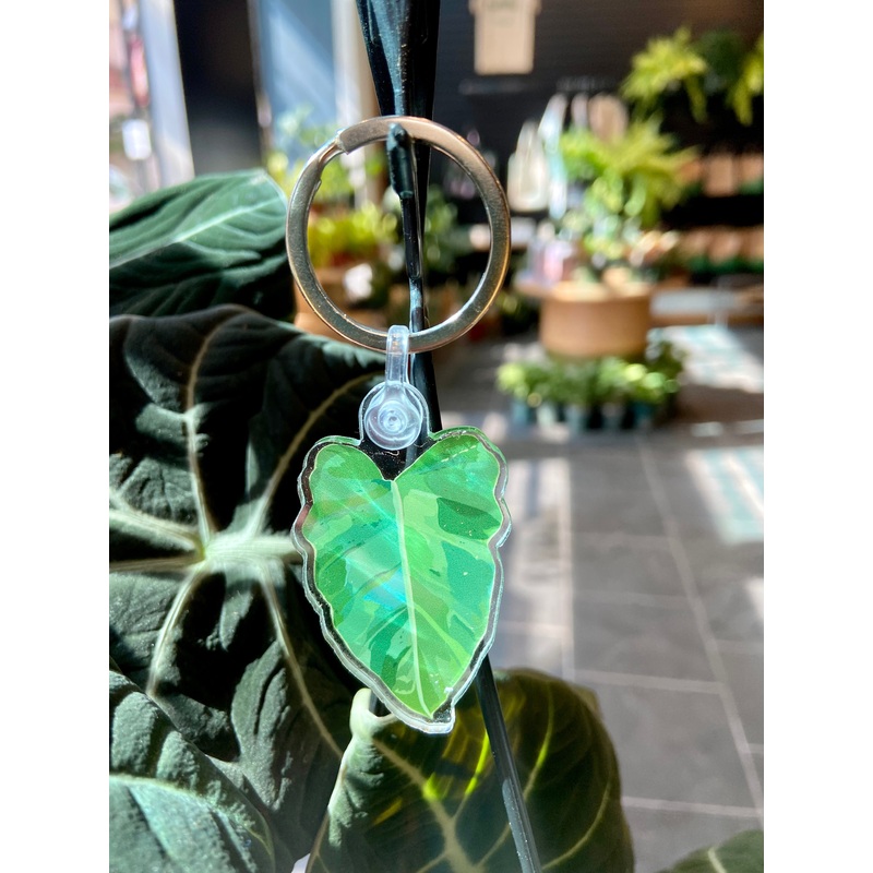 Philodendron Keychain