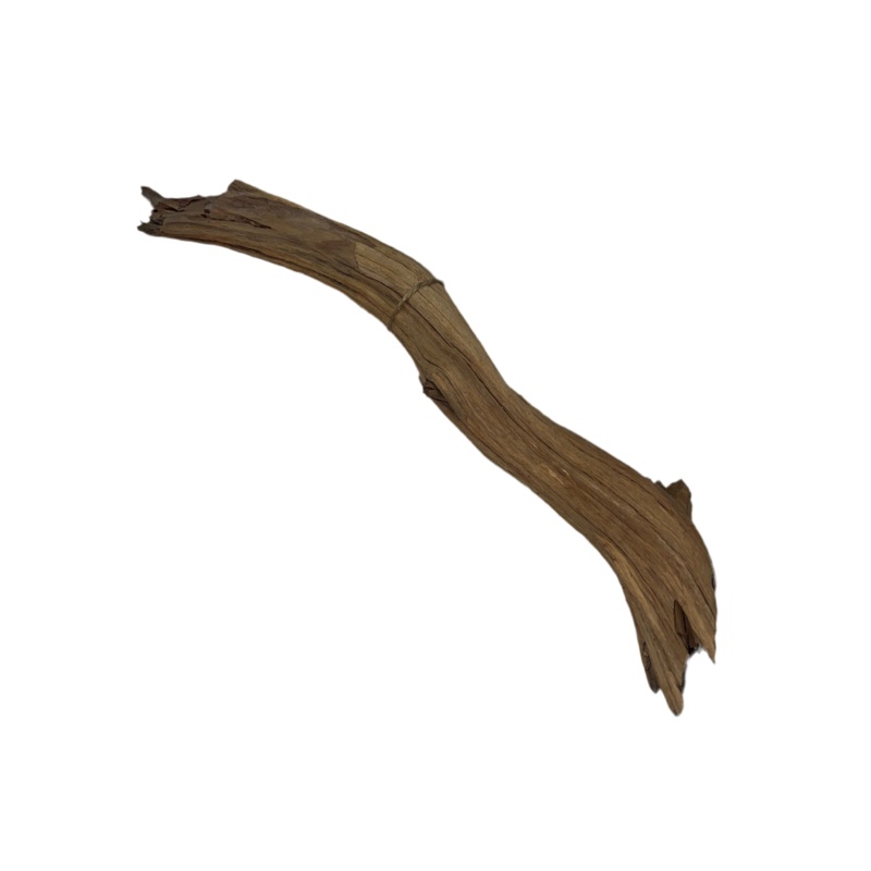 Rugged Manzanita- Medium