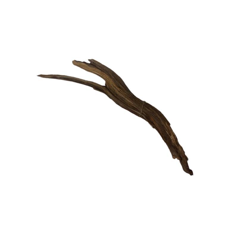 Rugged Manzanita- Small