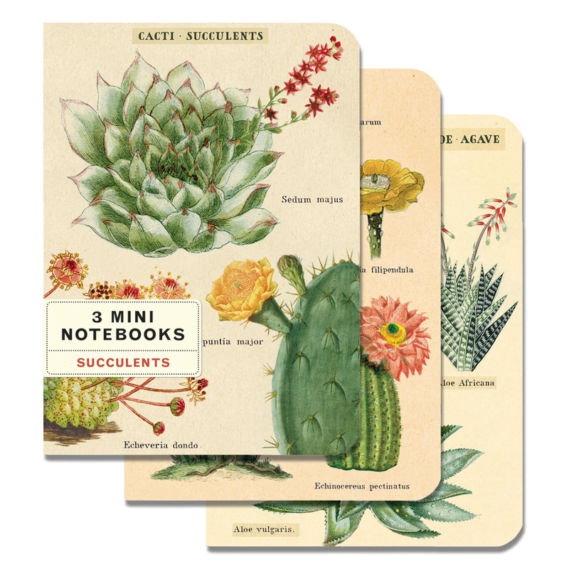 Succulents 3 Mini Notebooks