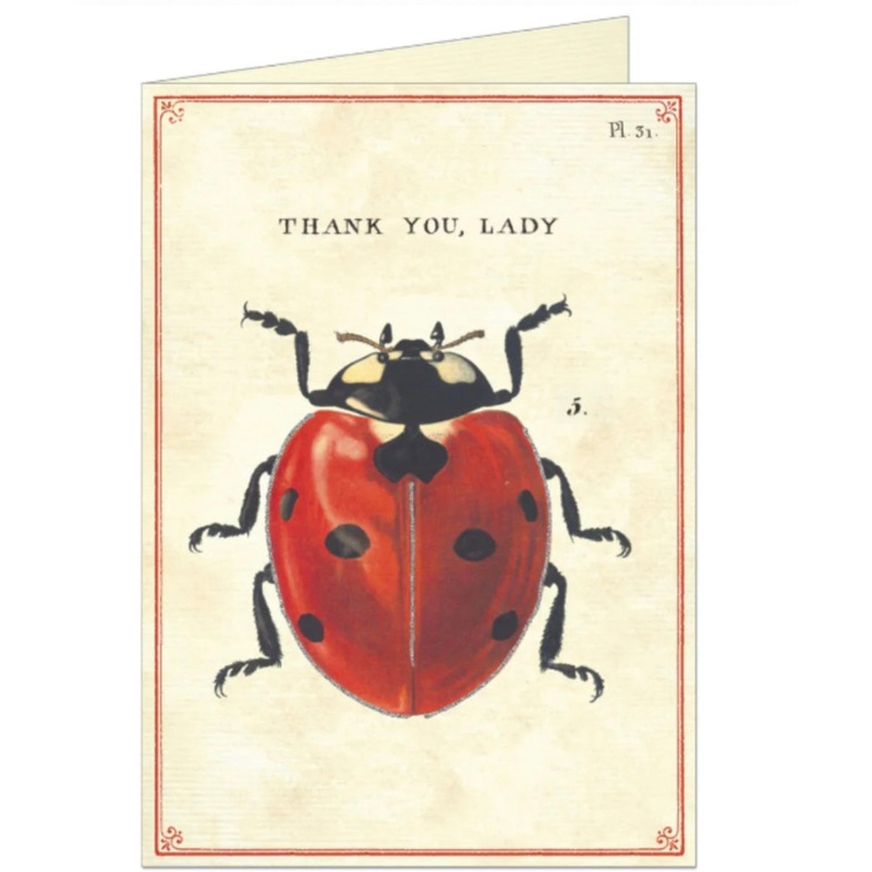 Thank You Lady Single Greeting Card/Envelope