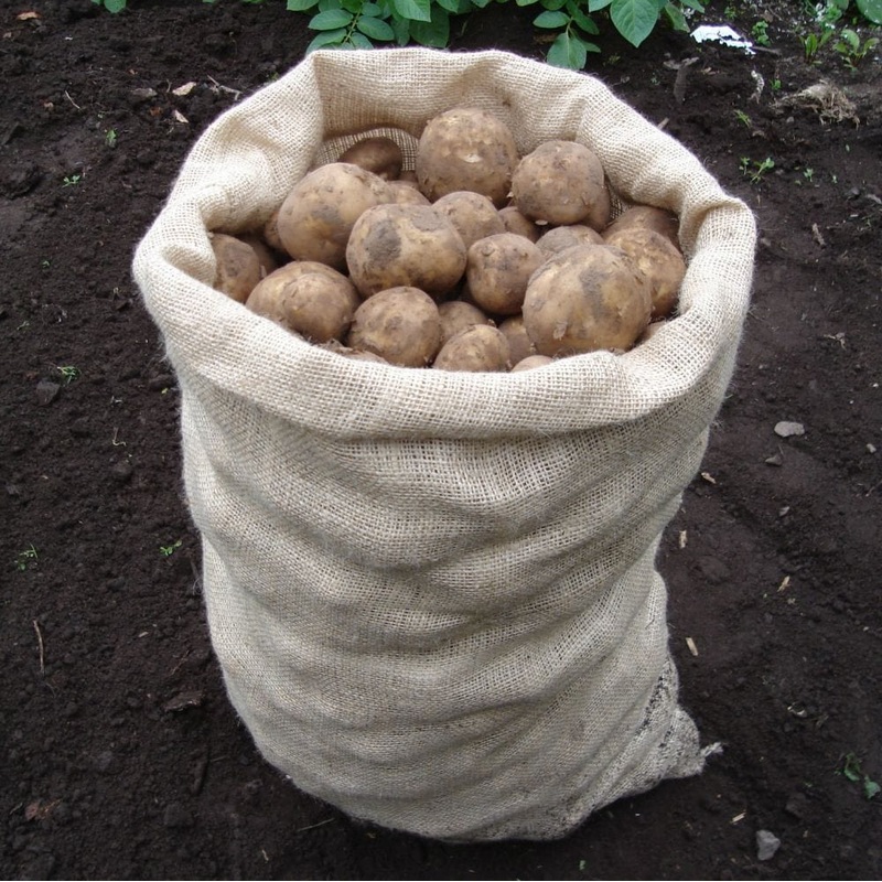 Hessian Sack|1 Sack|3 Sacks