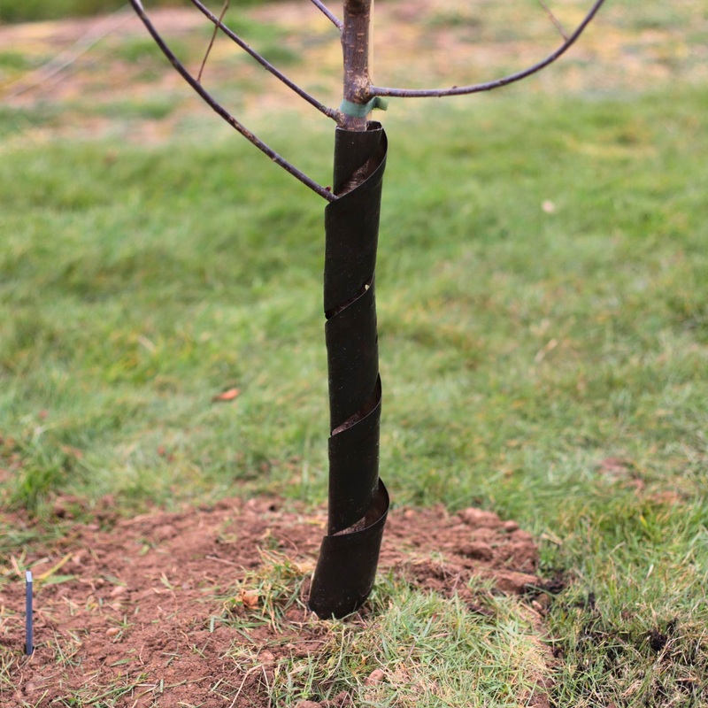 Biodegradable Rabbit Guard|Rabbit Guard