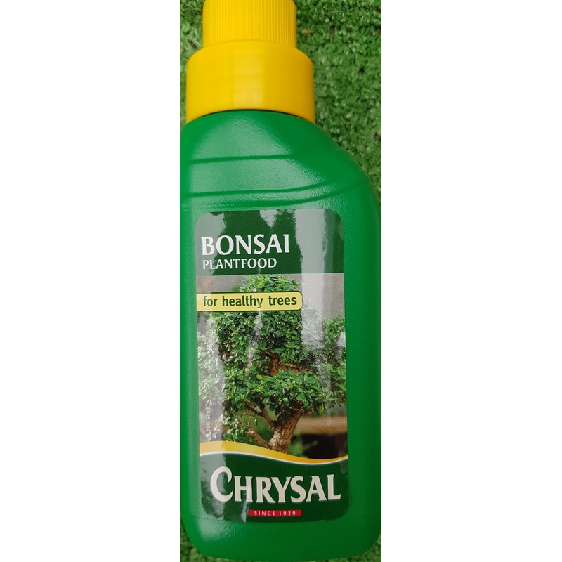 Bonsai Plant Liquid Feed – 200ml