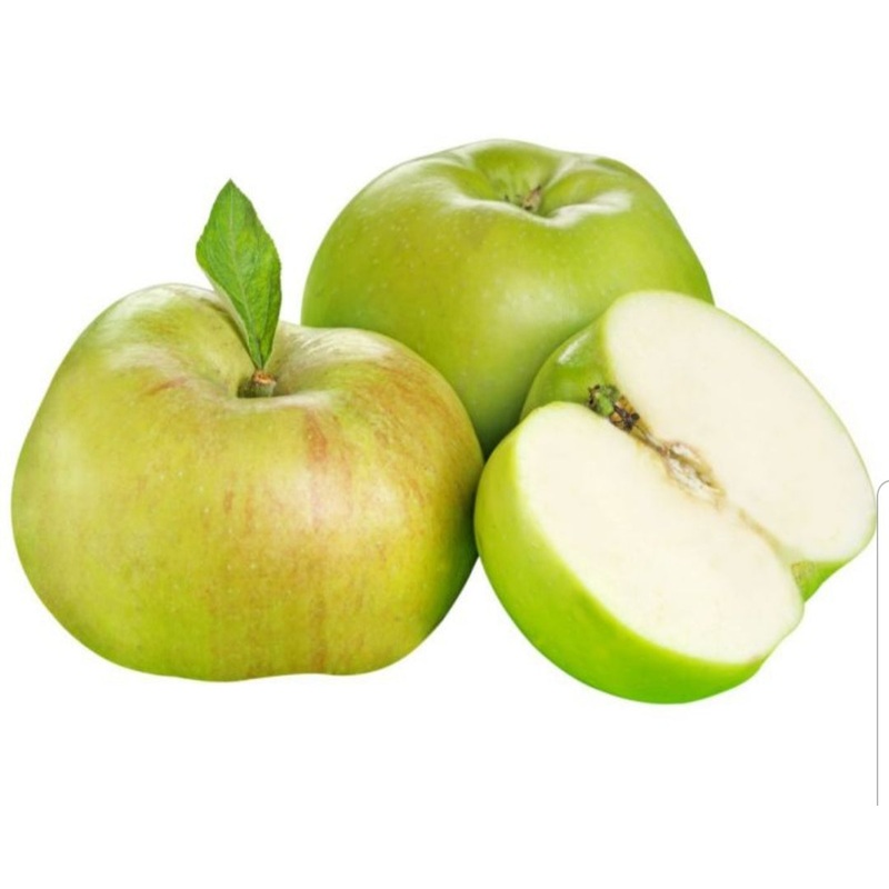 Apple Bramley – 12 Litre Pot
