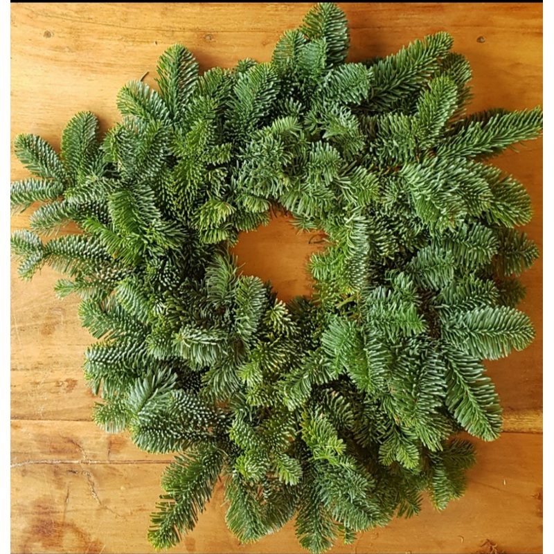 55cm Pine Wreath – Foliage