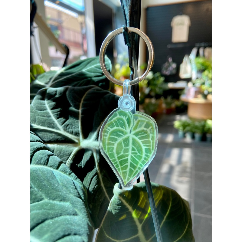 Anthurium Clarinervium Keychain