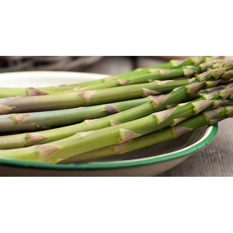 Asparagus Theilim – 1 Bareroot Plants