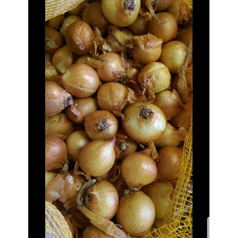 Golden Gourmet Shallots (8 Shallots)