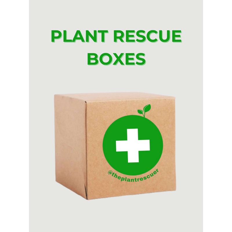@ThePlantRescuer Rescue Box|Houseplant Rescue Box|Orchid Rescue Box