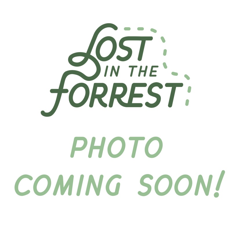 Plant Name Tags