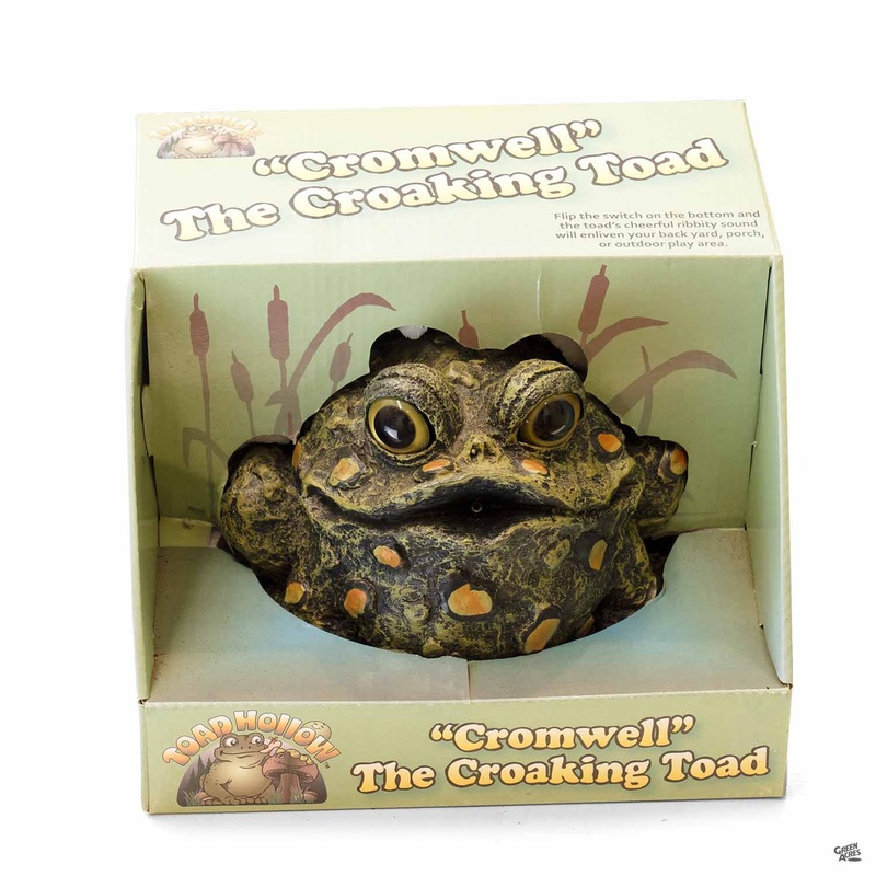 Croaking Cromwell Toad|5.5″