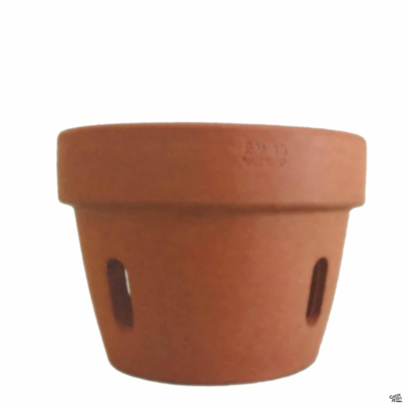 Orchid Clay Pot Terracotta|6″ x 4.5″|6″ x 4.5″ [v::tx]
