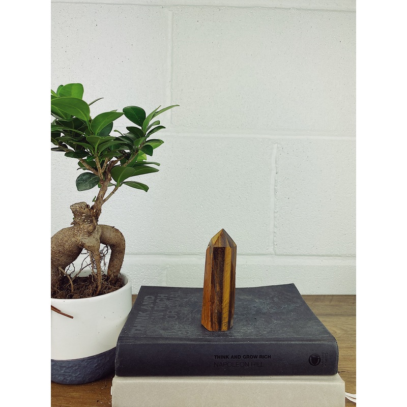 Tigers Eye Point