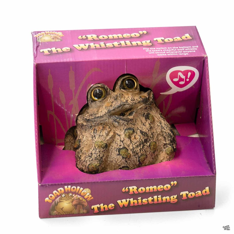 Dreamer Romeo Whistling Toad|5.5″