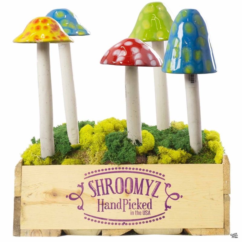 Shroomyz Funtasmic|Medium|Large|Medium [v::tx]|Large [v::tx]