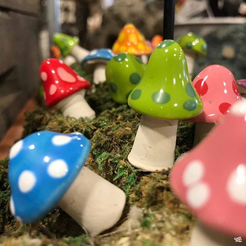 Shroomyz Pico|1″|1″ [v::tx]