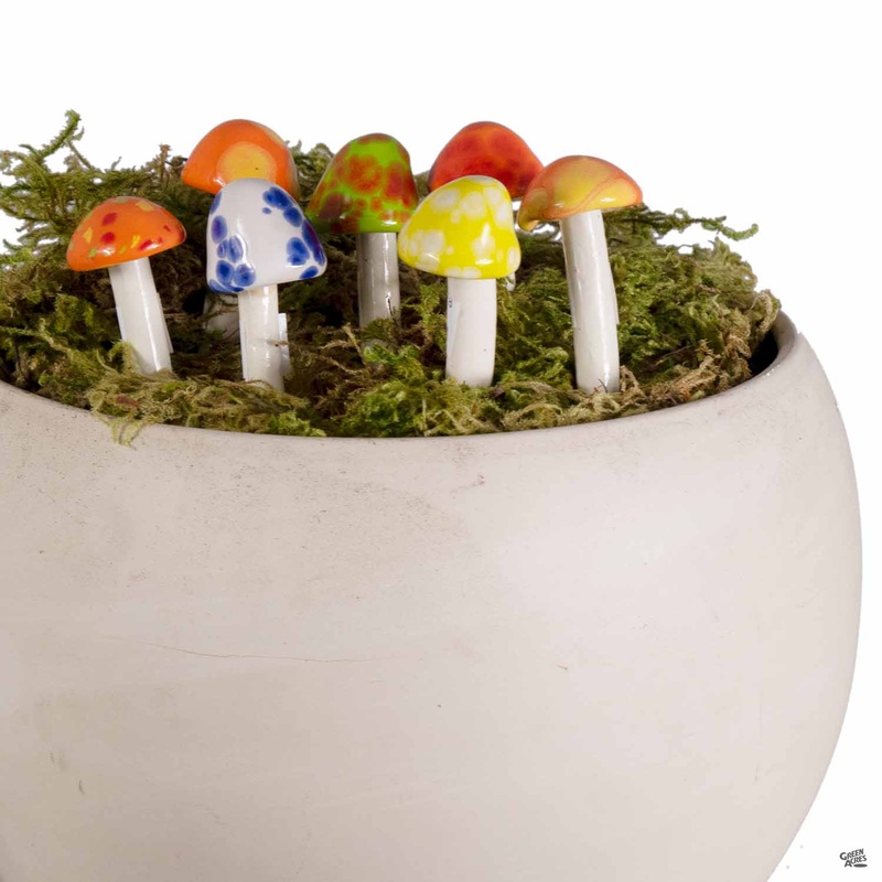 Shroomyz Micro|4″|4″ [v::tx]