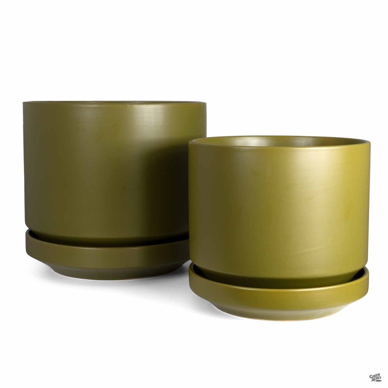Melrose Planter with Attached Saucer