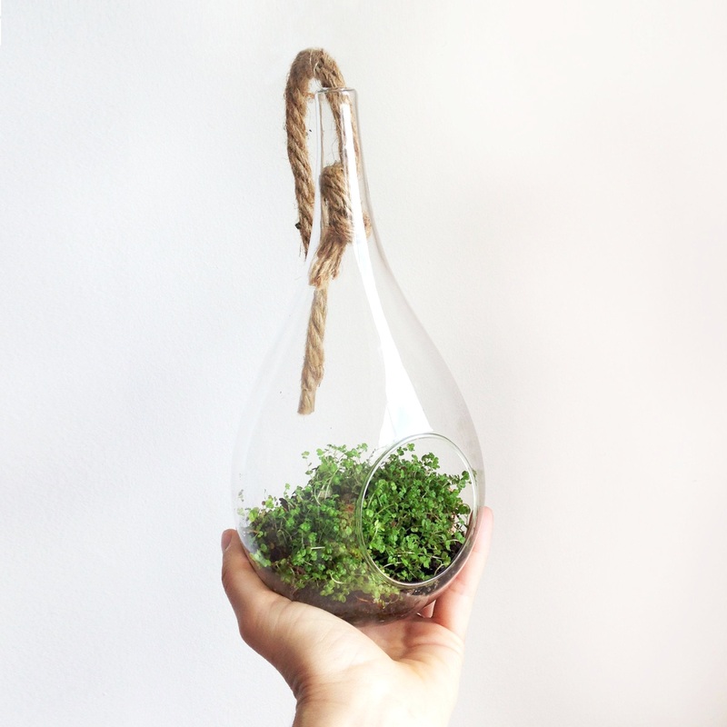 Peace in the Home in Raindrop DIY Kit