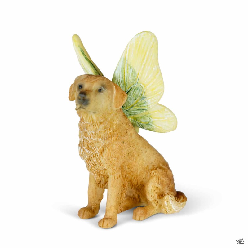 Fairy Golden Retriever|Fairy Golden Retriever