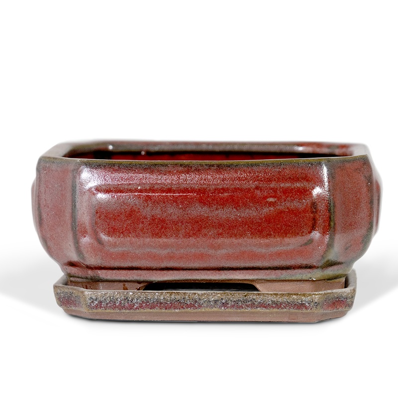 Bonsai Pot|8″|10″