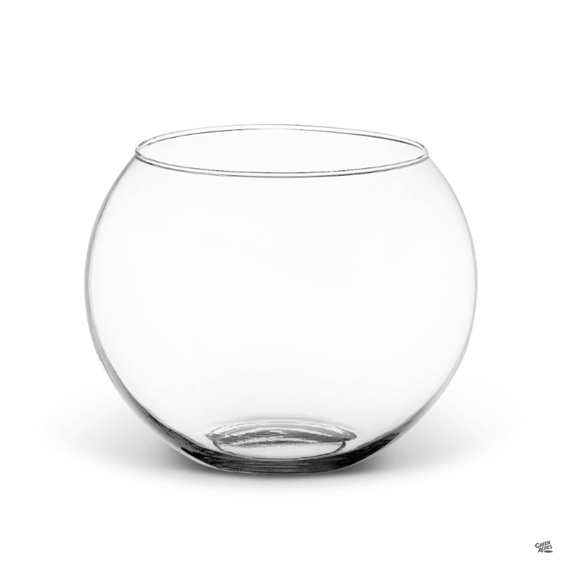 Bubble Glass Terrarium|8″|8″ [v::tx]