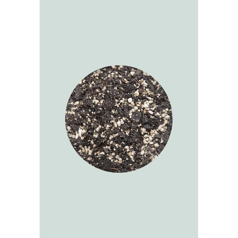 Pumice-Rich Succulent Potting Mix – 5 Litre Bag