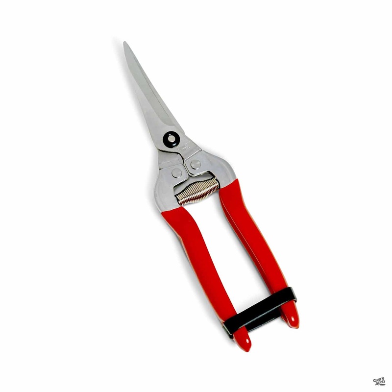Red Rooster Grape Clipper|2″