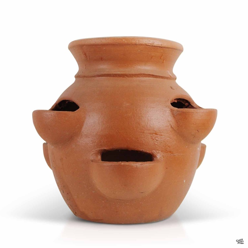 Strawberry Jar Pot|13″ [v::tx]