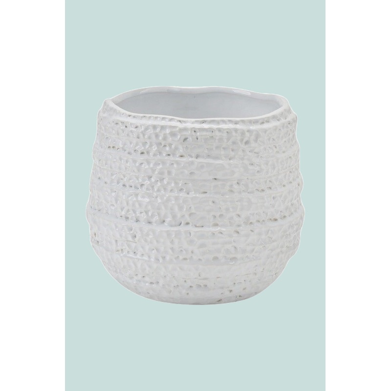 Barnacle Planter – Fits Small Plants