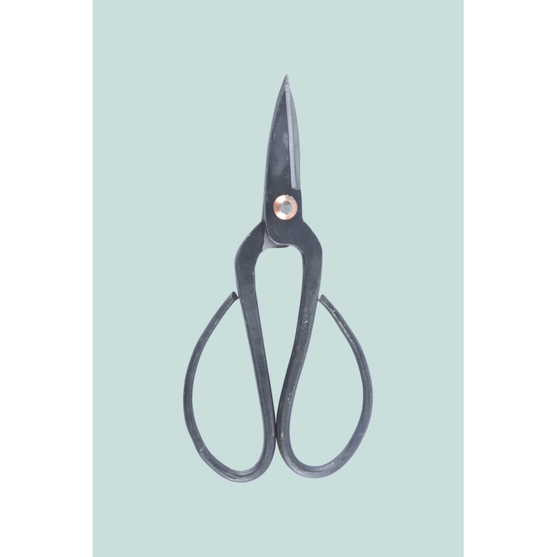 Bonsai Shears