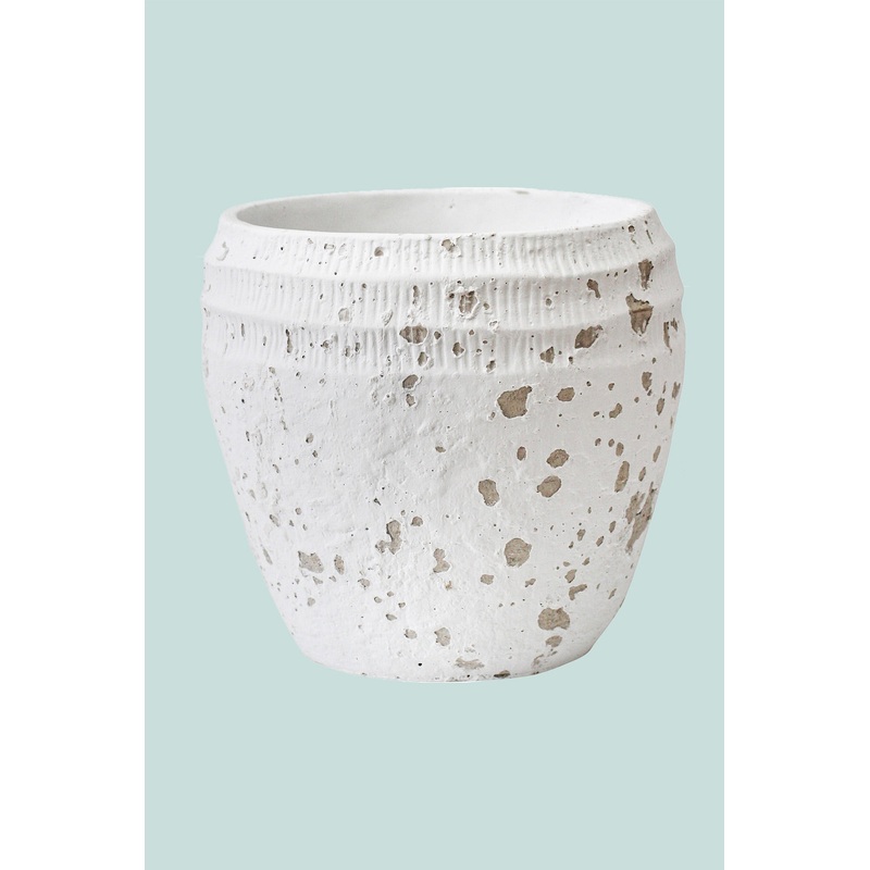 Coast Ribbed Planter – Fits Small Plants