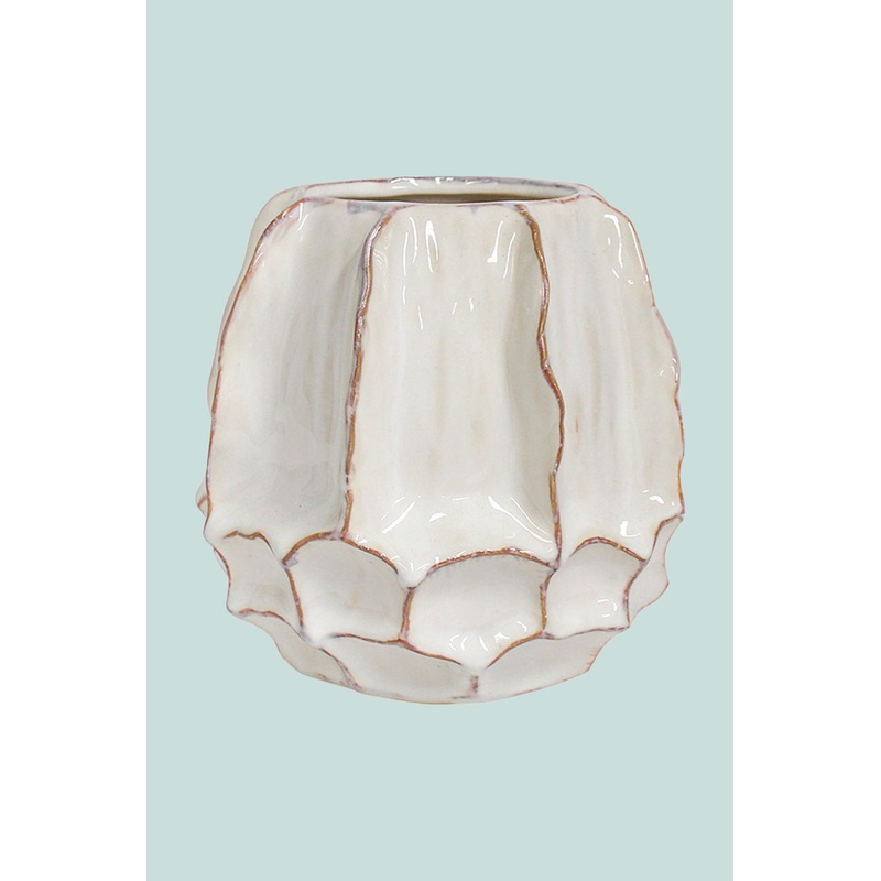 Conch Planter – Fits Small Plants