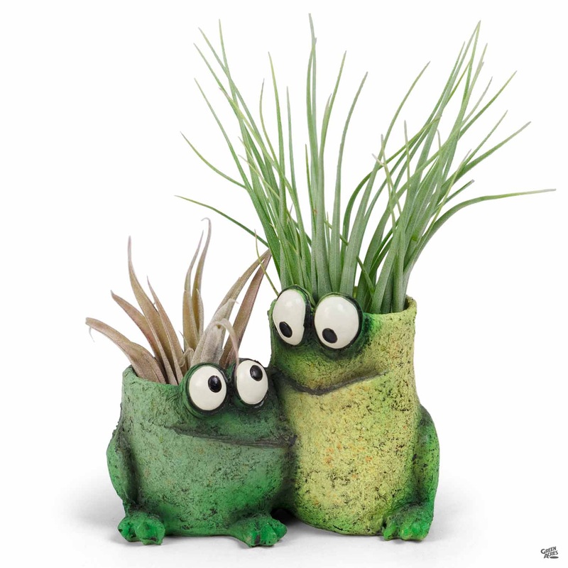 Frog Pals Mini Planter|Frog Pals