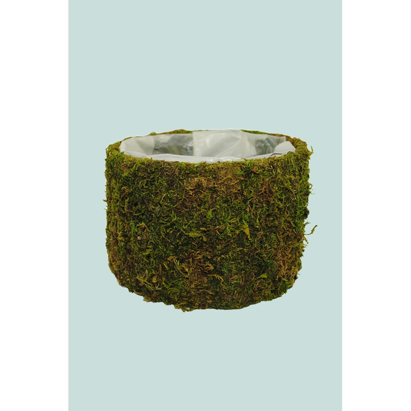 Moss Bowl Planter – Fits Small Plants