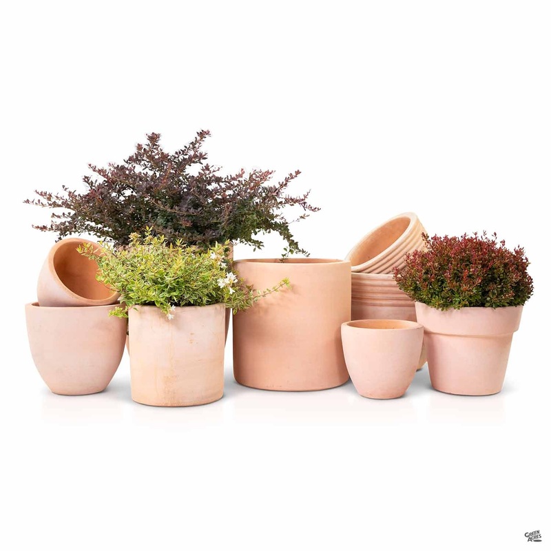 North Coast Pottery|Wexford Round|Hosta Round