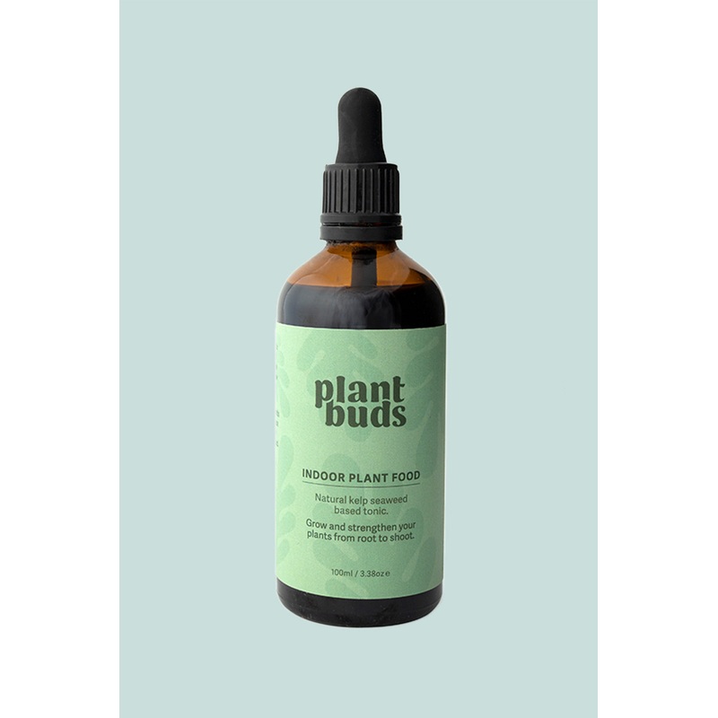 Plant Buds Indoor Plant Food – Natural Kelp Tonic – 100ml