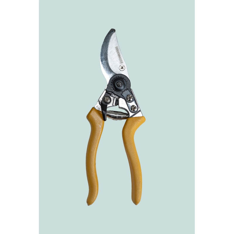 Swiss Bypass Pruner