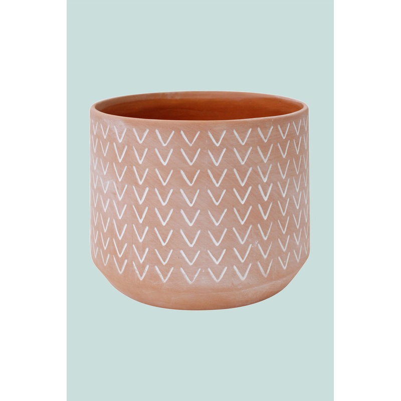 Viva Planter – Fits Small Plants