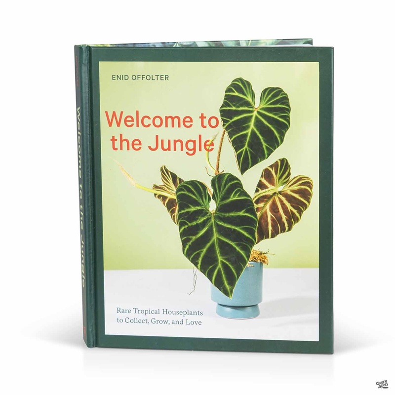 Welcome to the Jungle: Rare Tropical Houseplants to Collect, Grow and Love