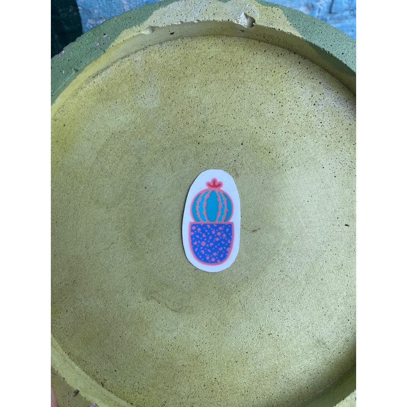 Cactus sticker