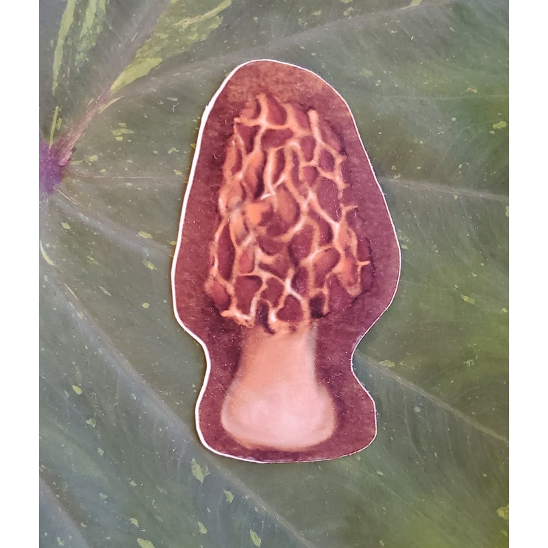 Morel Sticker