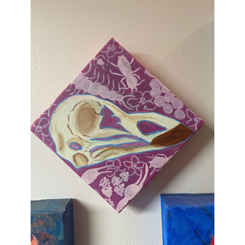 6×6 Peacock Skull