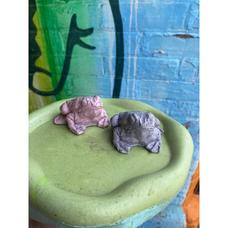 Concrete Toad|White Peach|green|Pink and Teal|Blue