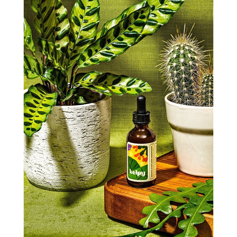Kelpy Plant Growth Booster | 59ml