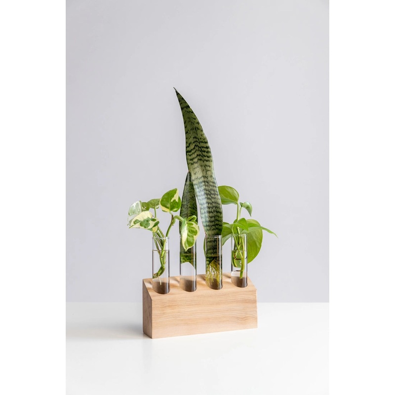 Plant Vitamins Propagation Stand